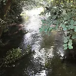 Le Cocon De Veyre